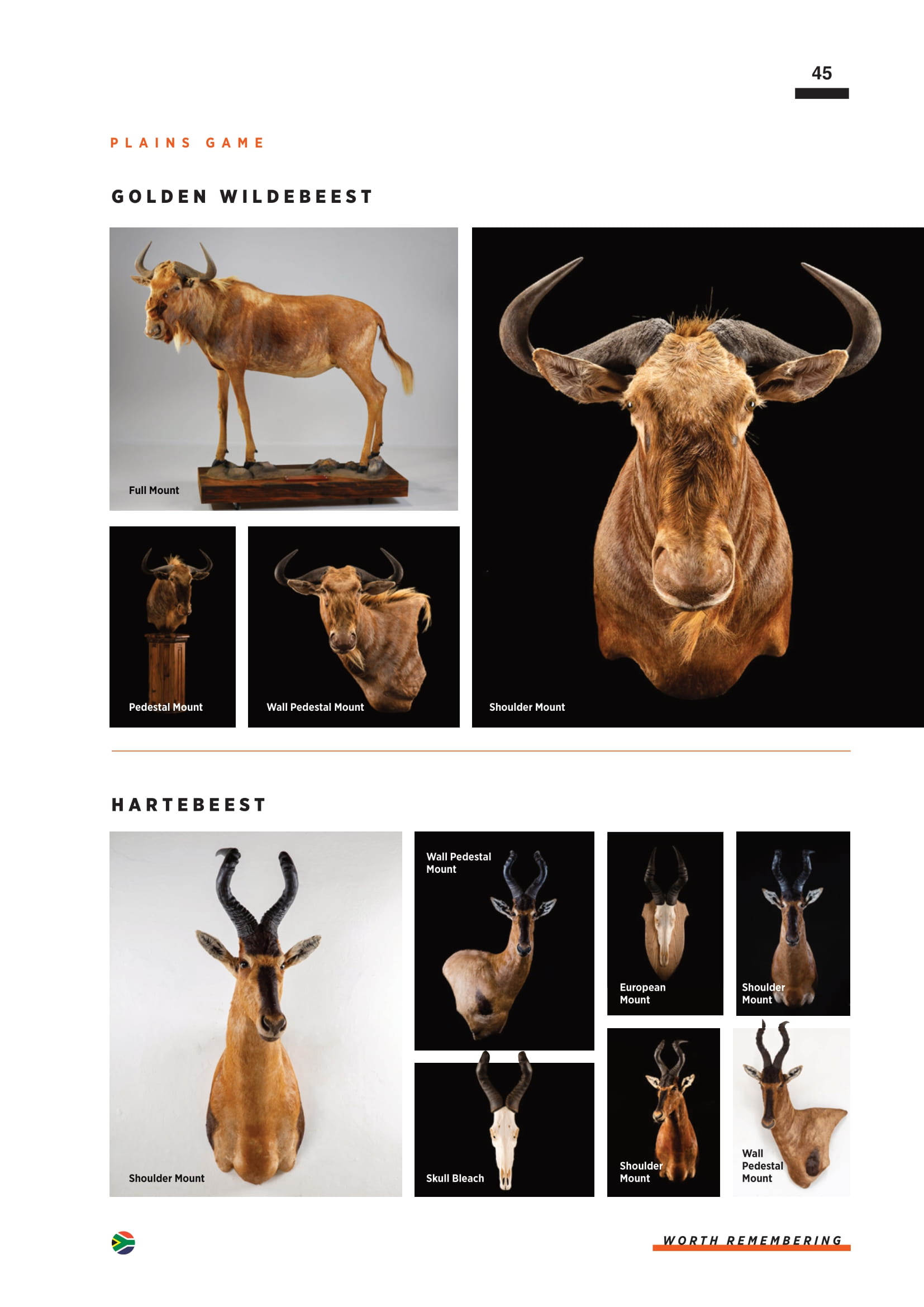 splitting-image-taxidermy-047.jpg