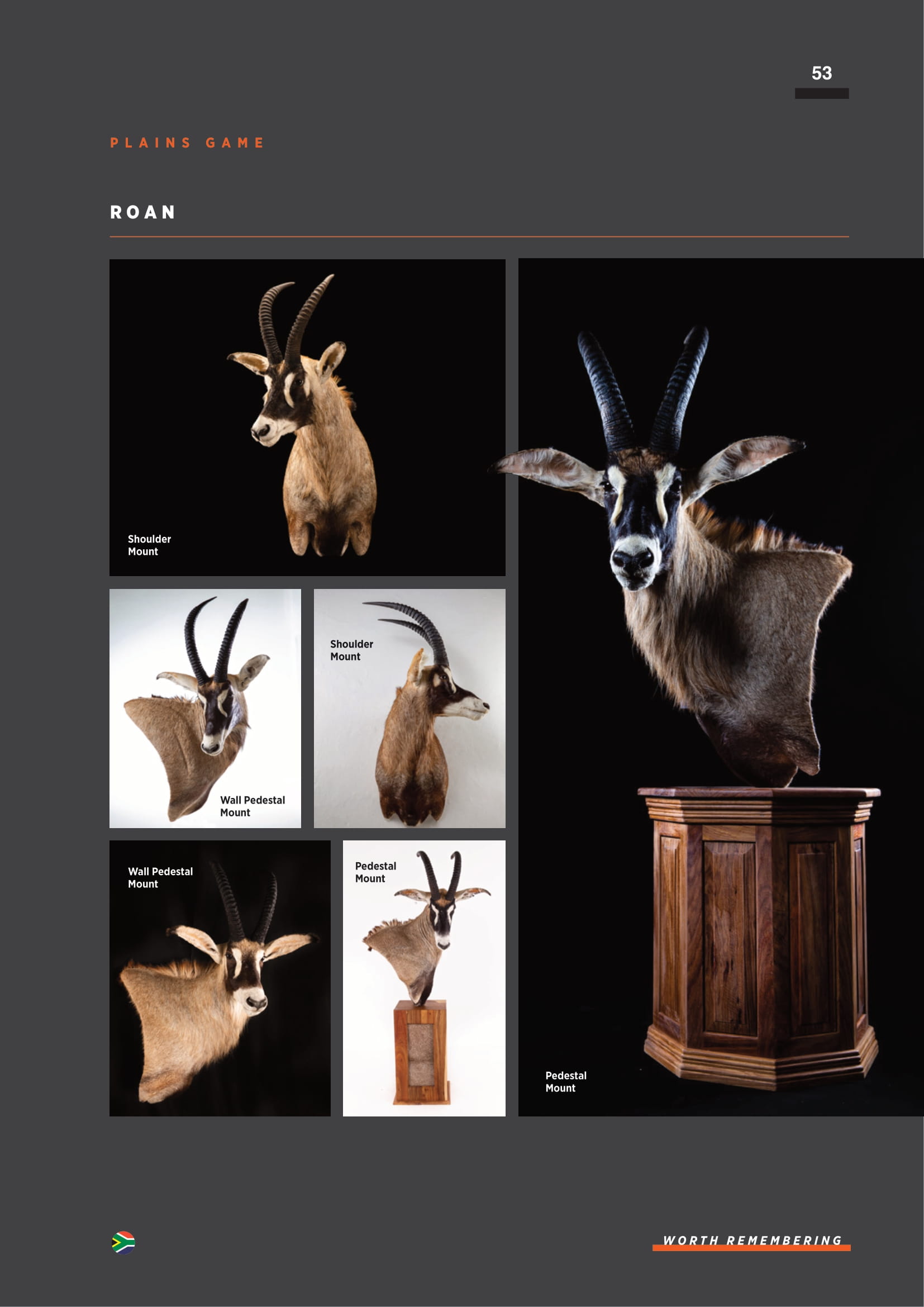 splitting-image-taxidermy-055.jpg