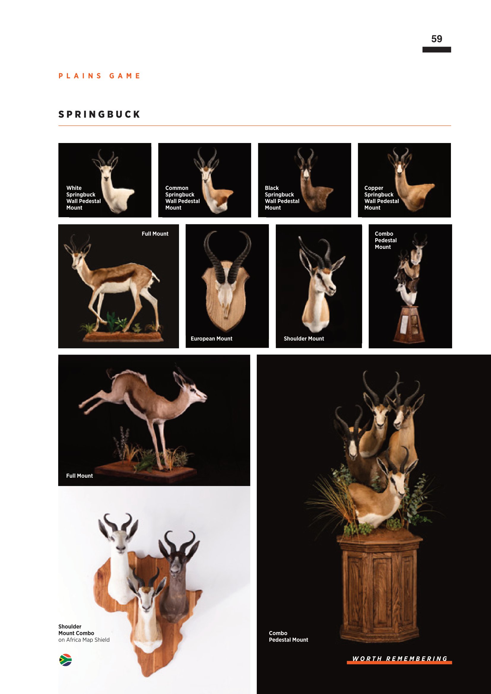 SPLITTING IMAGE TAXIDERMY-061.jpg