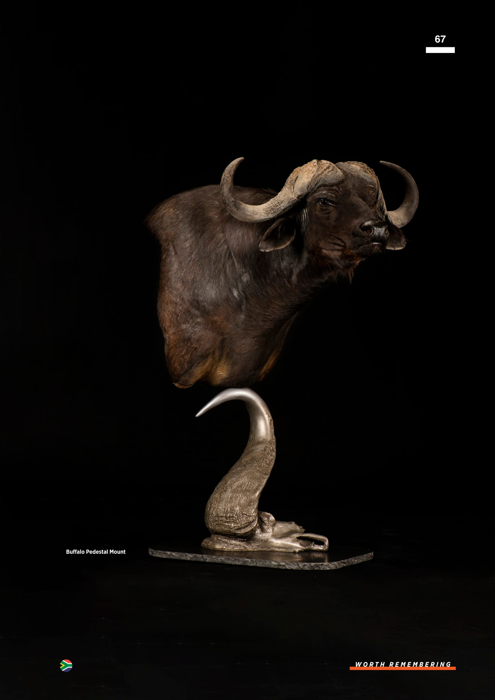 splitting-image-taxidermy-069.jpg