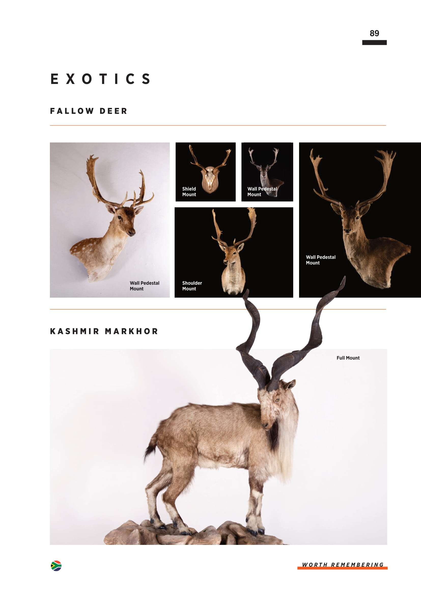 splitting-image-taxidermy-091.jpg