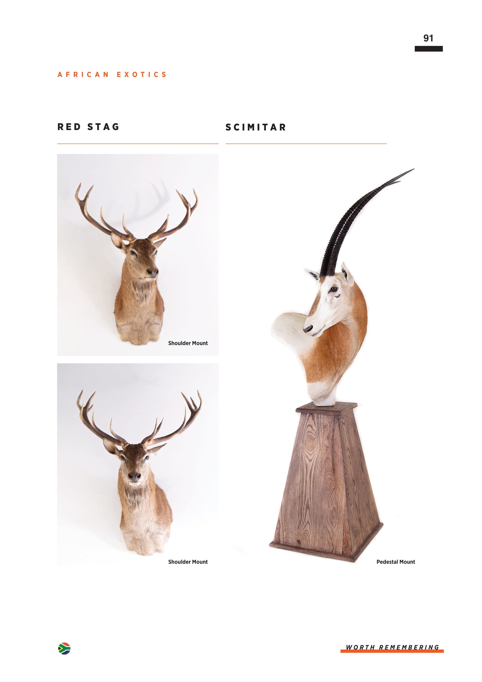 splitting-image-taxidermy-093.jpg