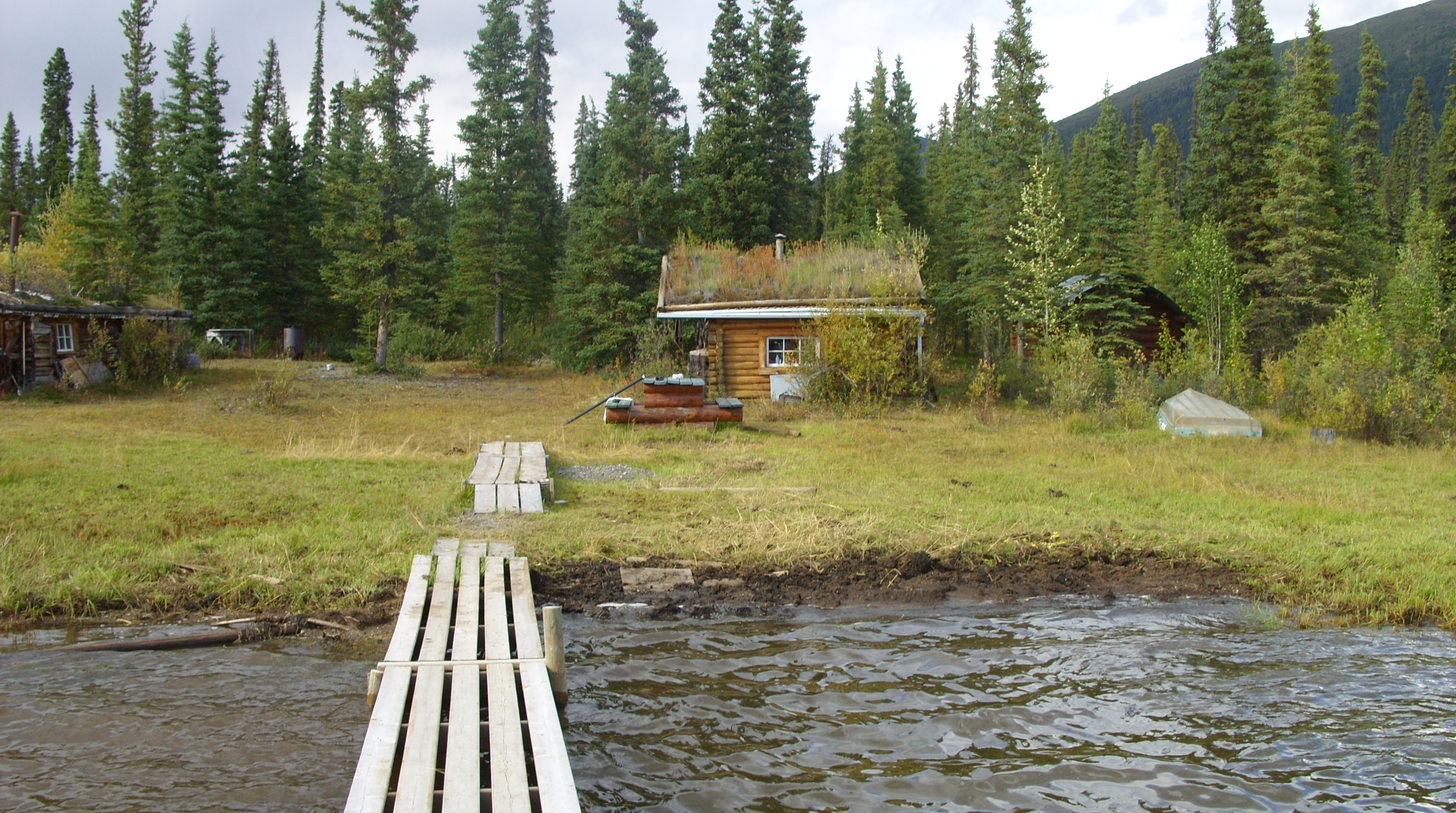 SS850969.JPG