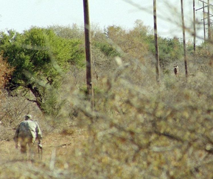 stalking kudu.jpg