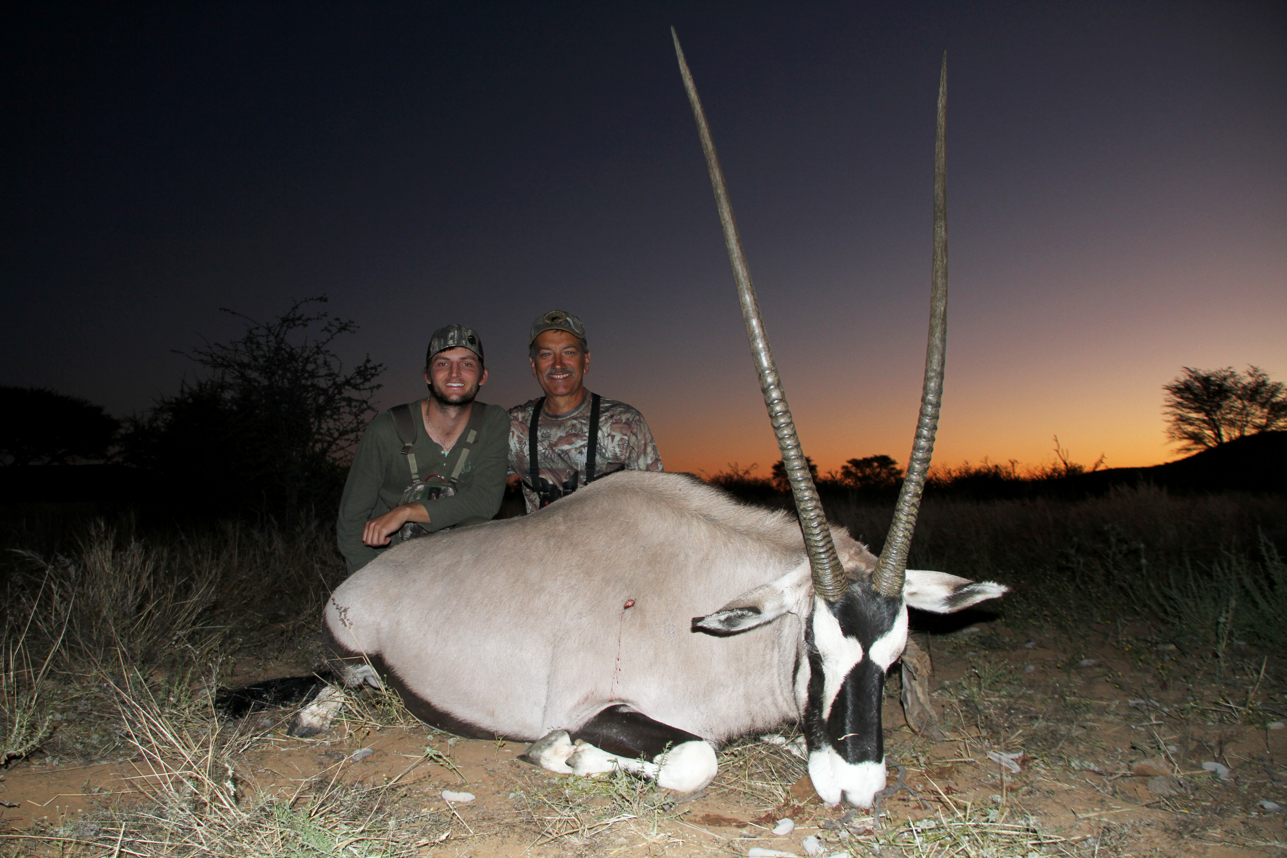 Stan - Oryx Cow.jpg