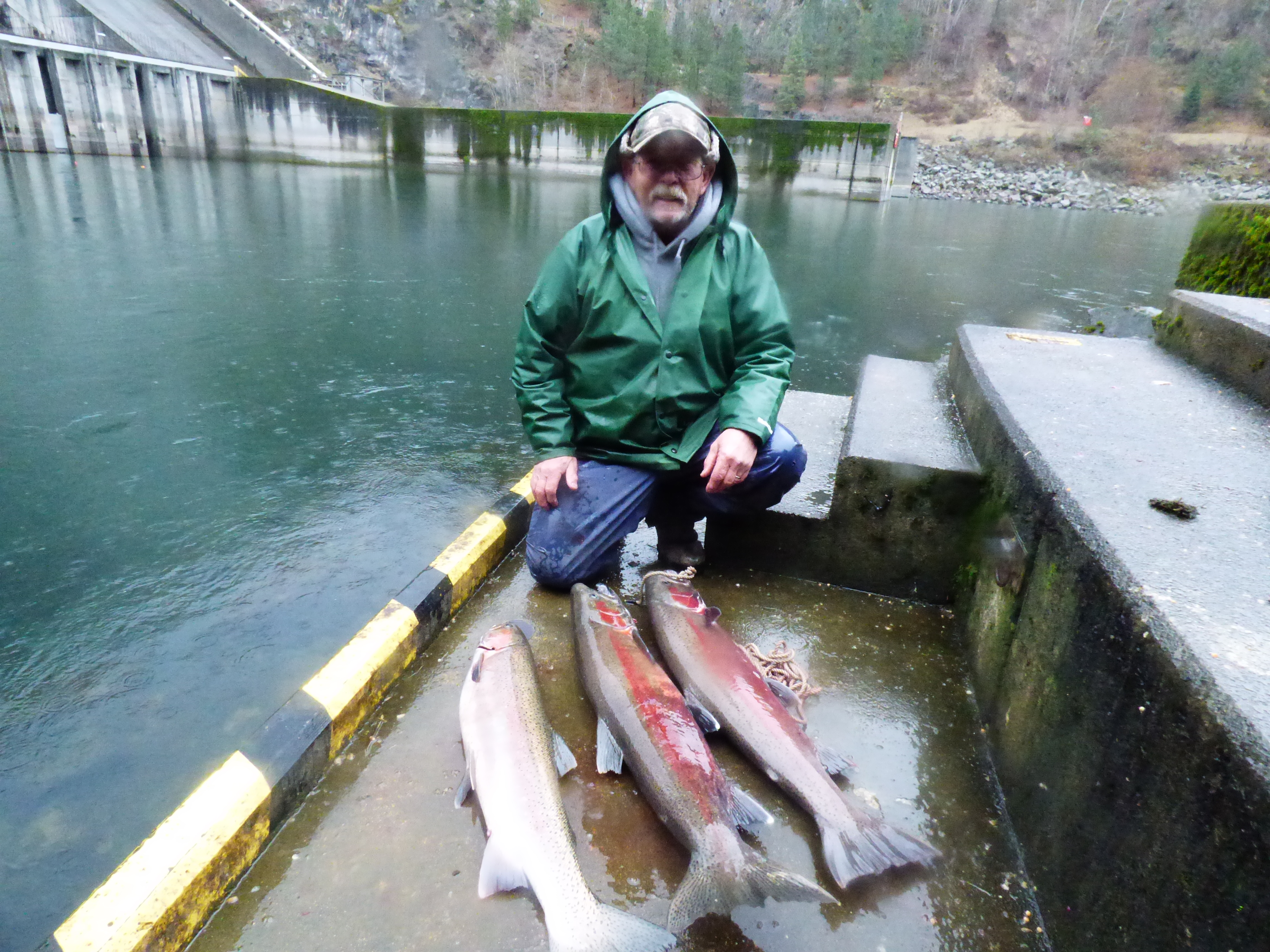 steelhead 2016 016.jpg