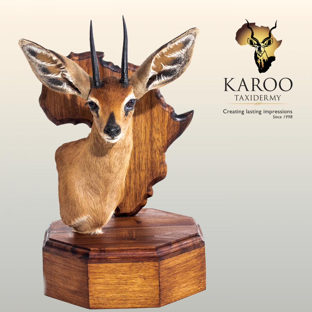 steenbuck_pedestal_mount.png