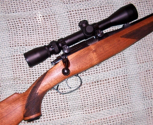 Steyr Zephyr 22 LR 011 (300x246).jpg