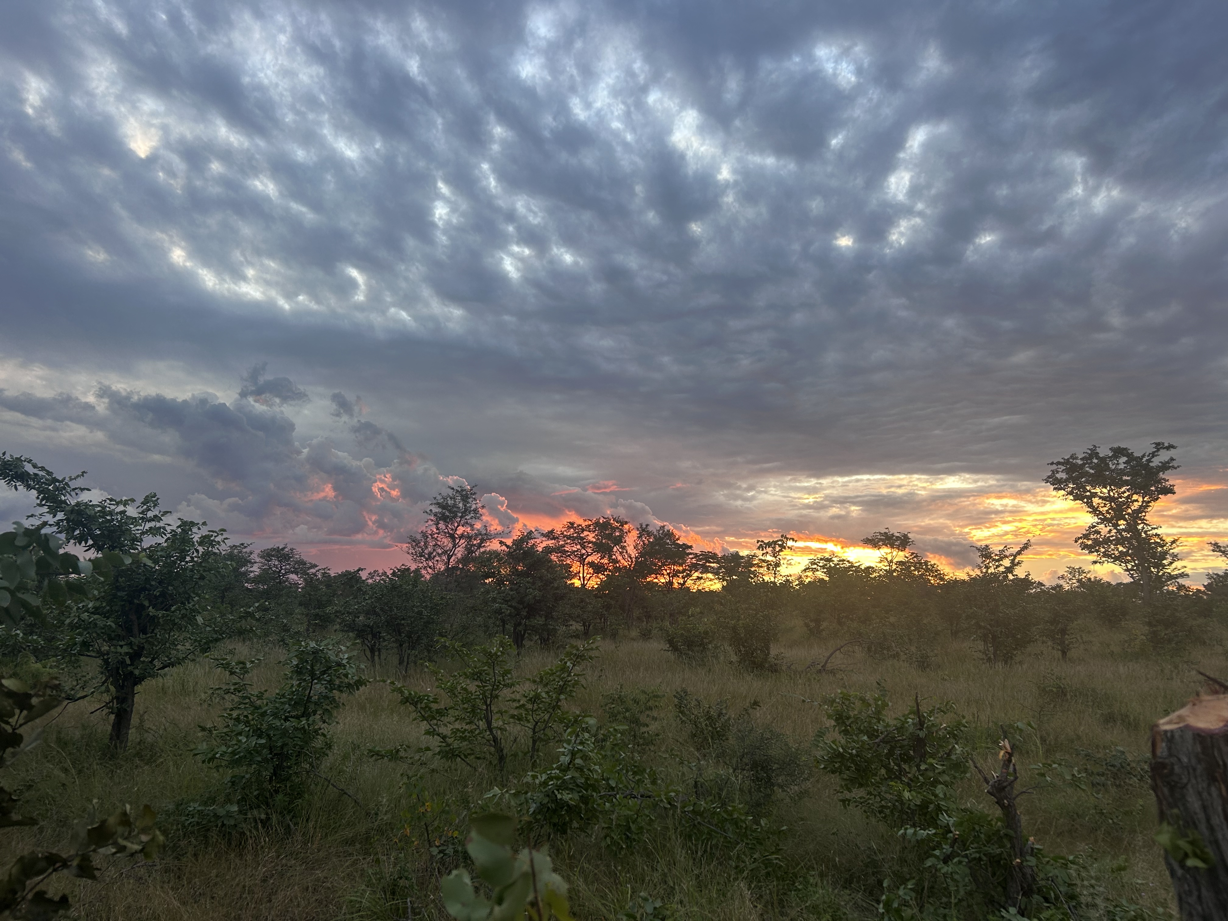 sunset 3.JPG