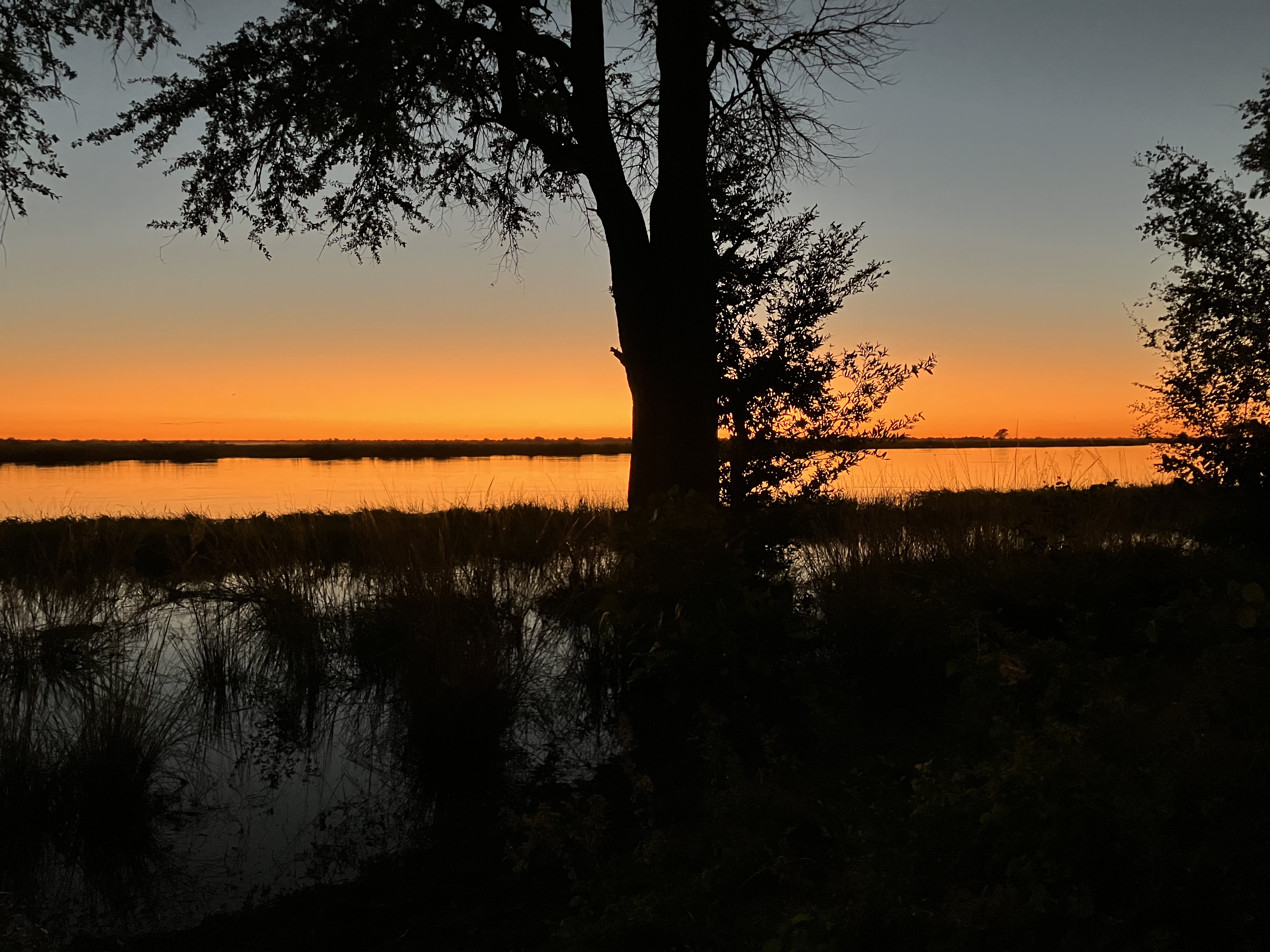 Sunset.jpg