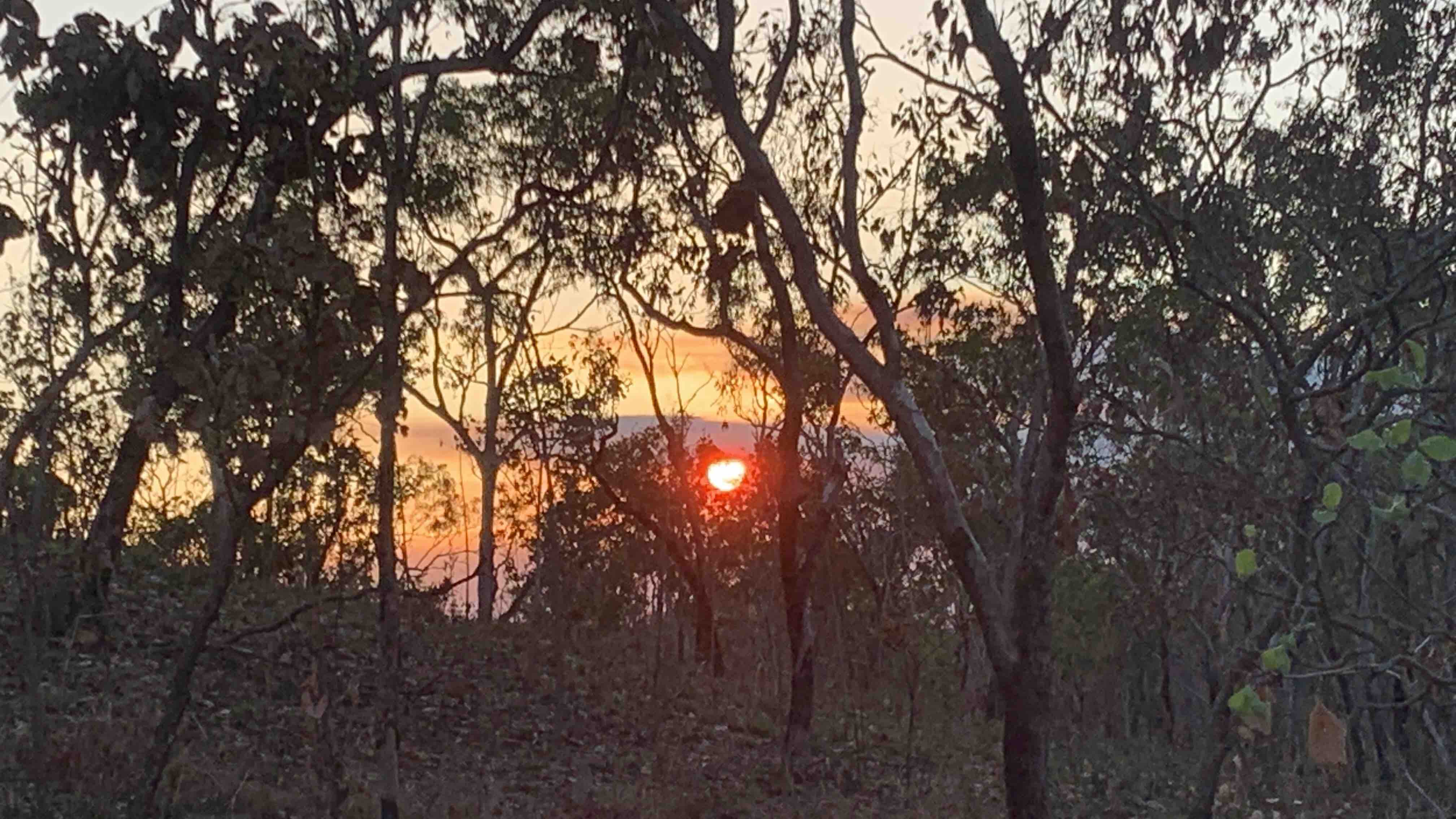 sunset.jpg