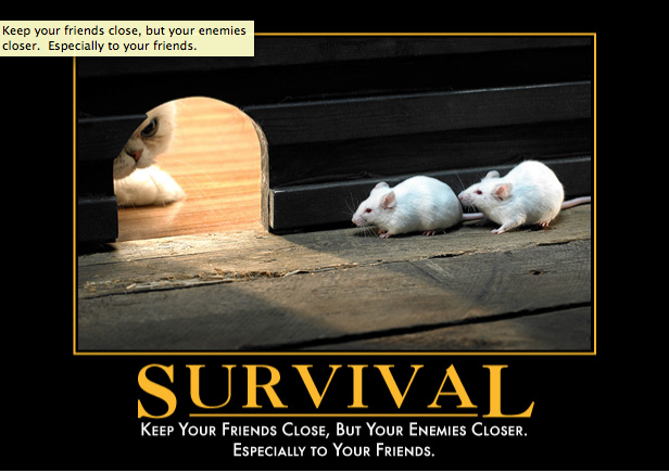 Survival-poster.png