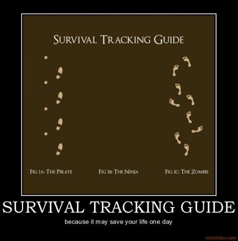 Survival Tracking.jpeg