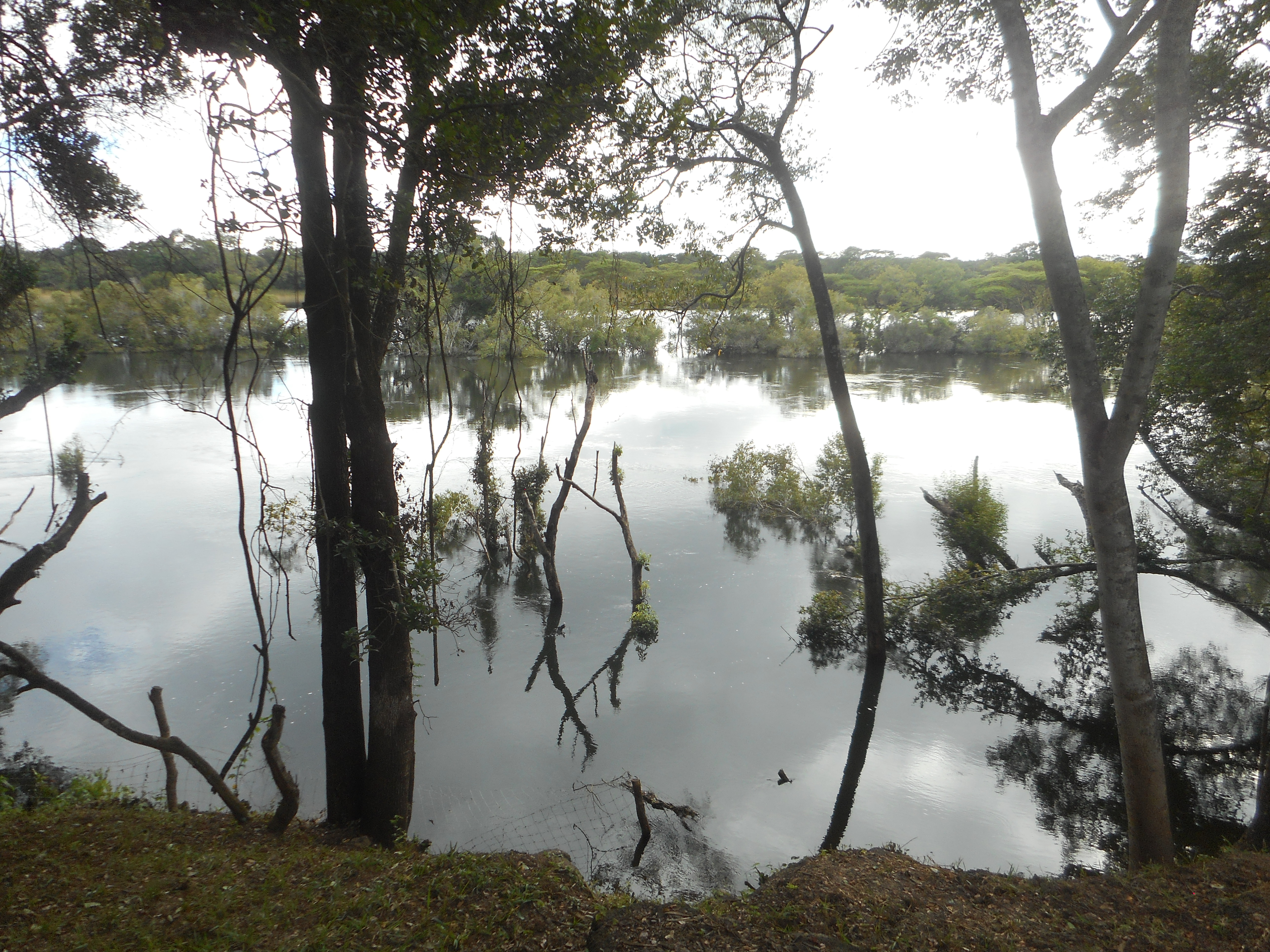 takeri kafue river march 2017 003.JPG