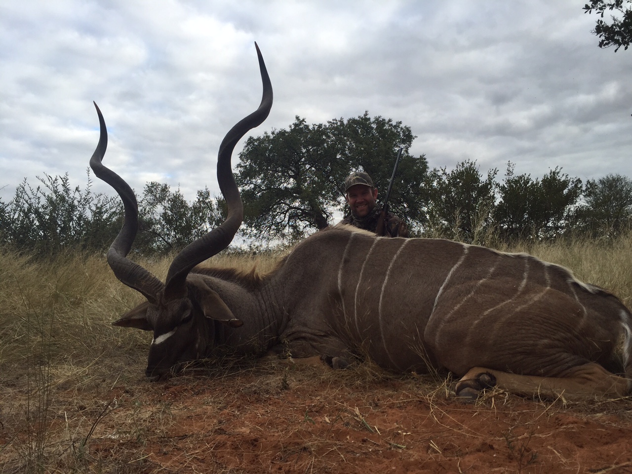 tallyho hunting safaries. kudu 2.jpg
