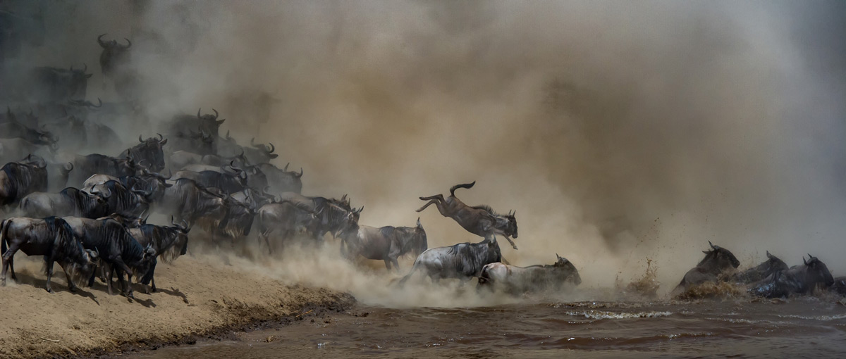 Tania-Cholwich-Mara-River-Crossing-Maasai-Mara-2.jpg