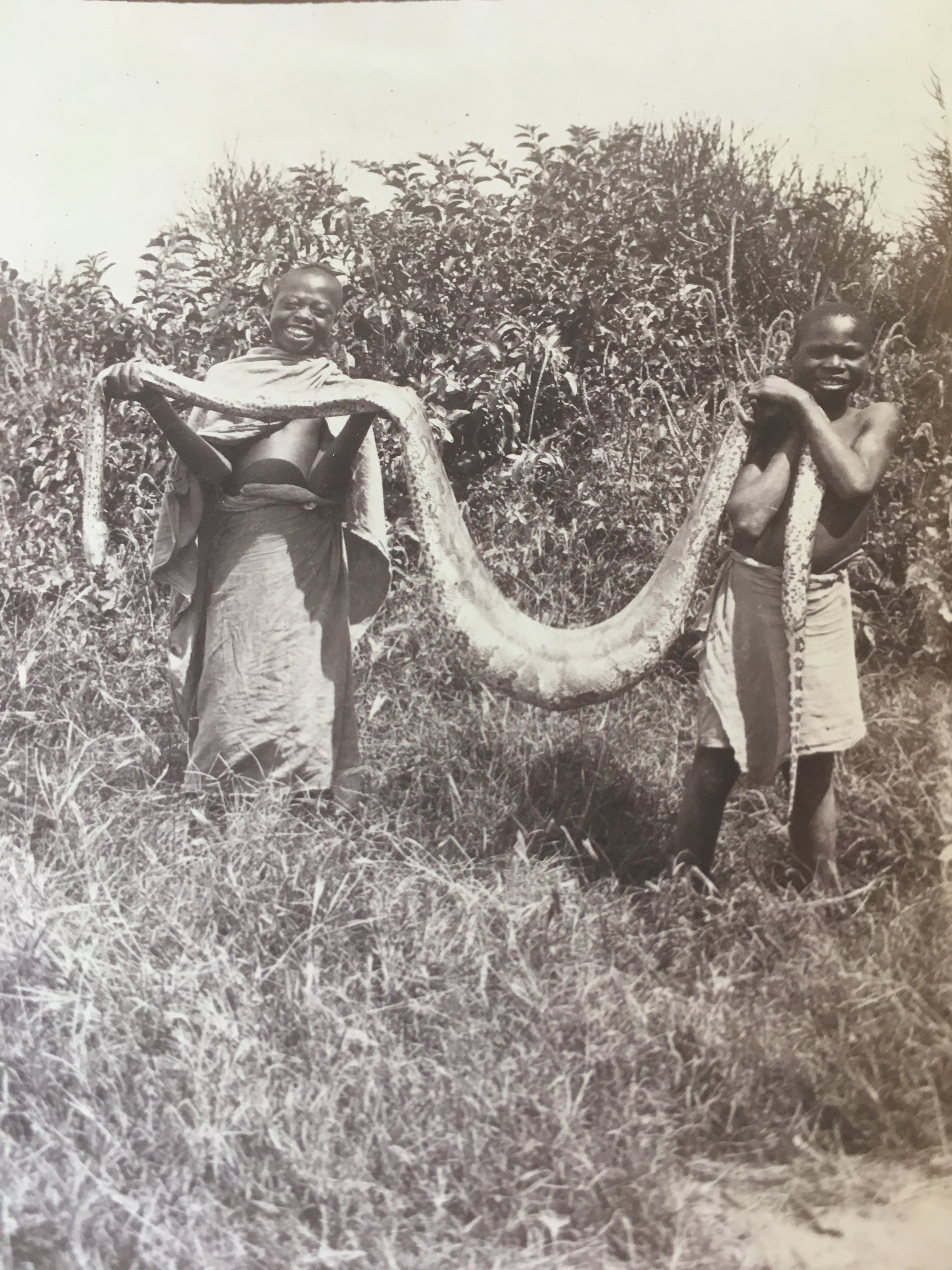 Tanzania & The Hunting Monks | Page 2 | AfricaHunting.com