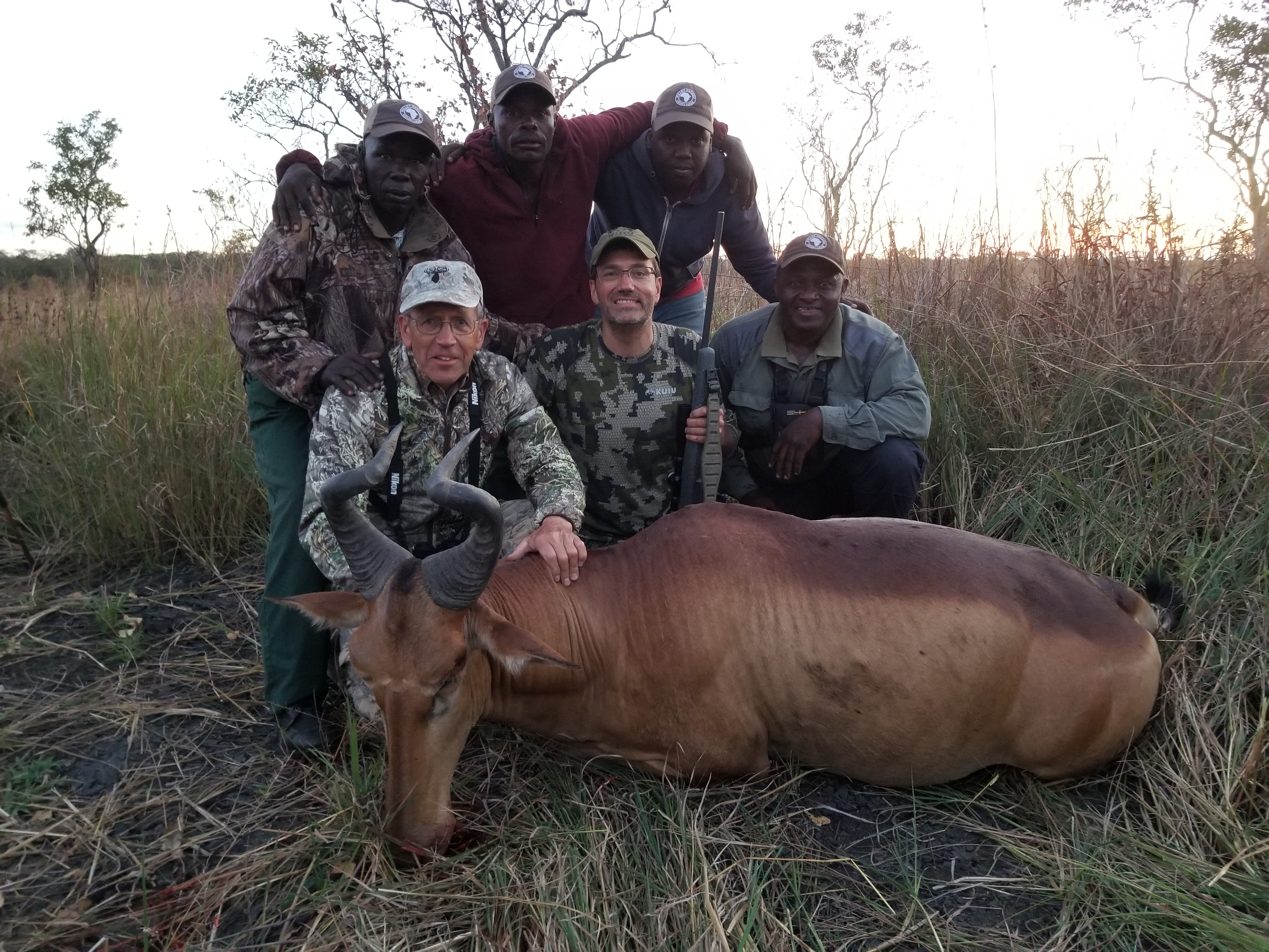 Tanzania Hartebeest.jpg