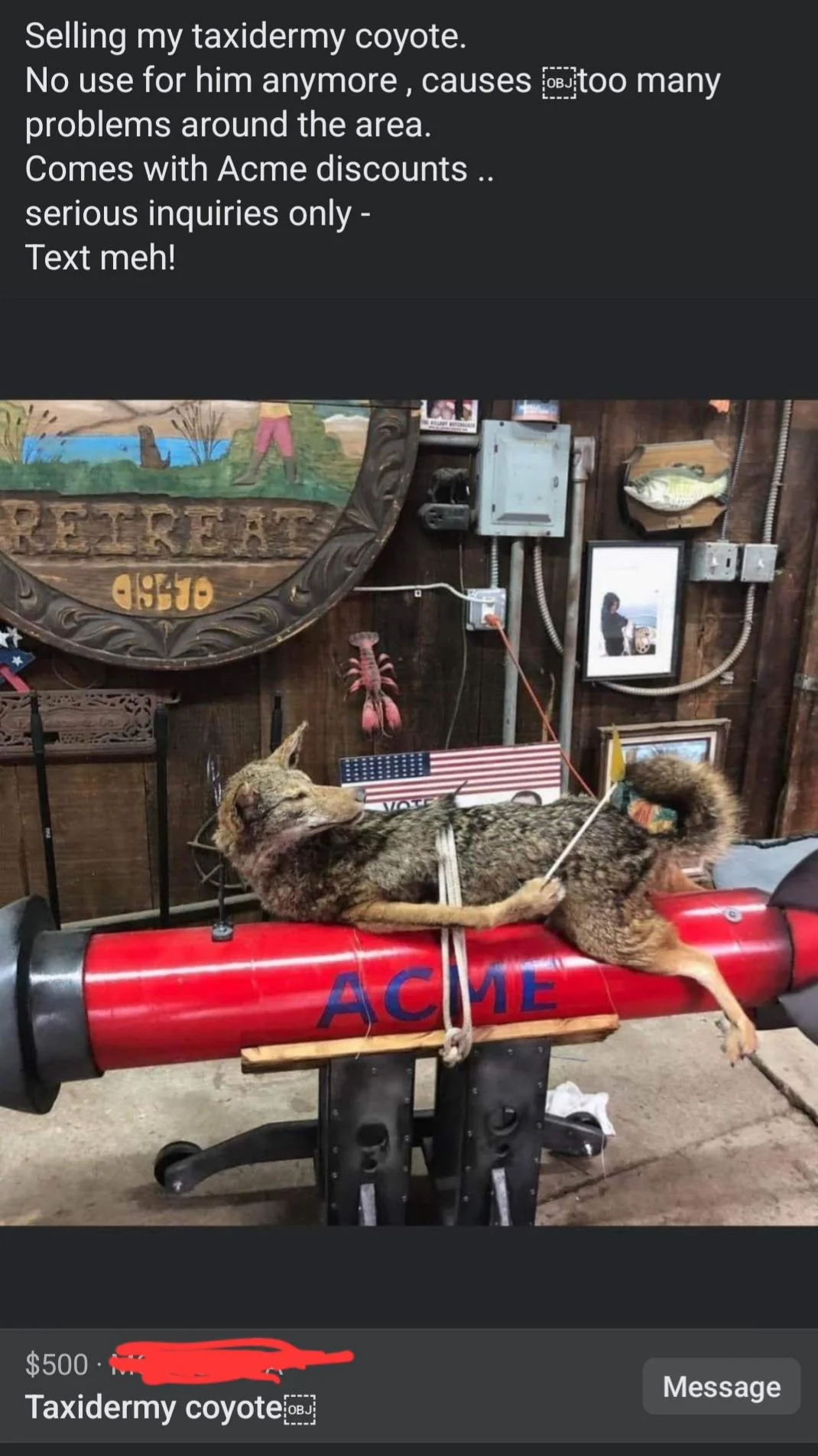 taxidermy-coyote-roadrunner-not-included-v0-fibnrc7ysbwa1.jpg.webp