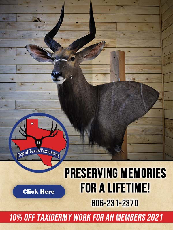 taxidermy-in-texas.jpg