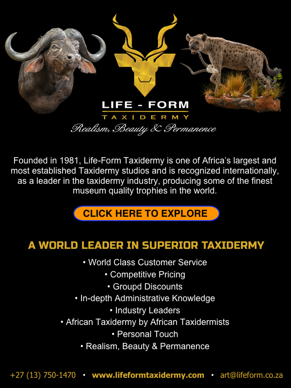 taxidermy-south-africa.jpg