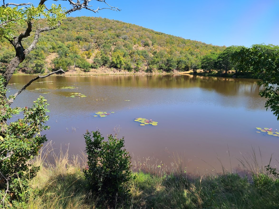 tent camp pond view.jpg
