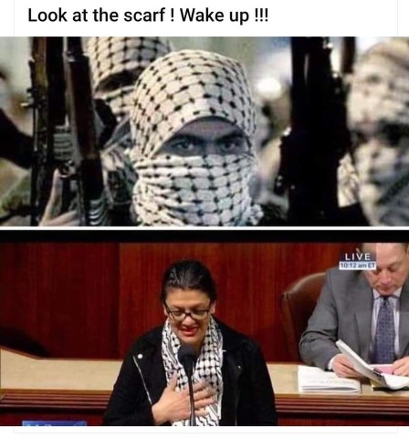 terrorist_in_congress.jpg