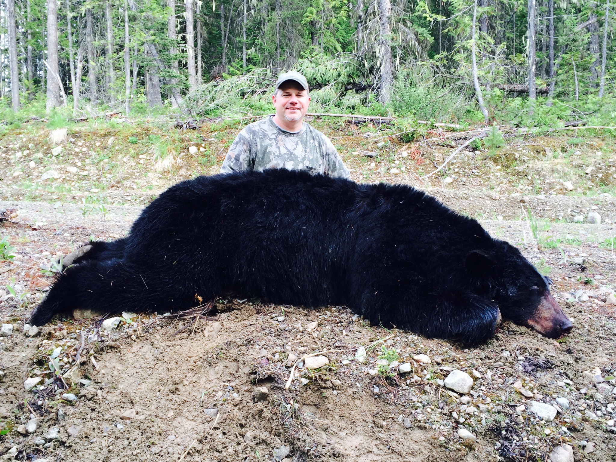 TG Black Bear 2014.jpg