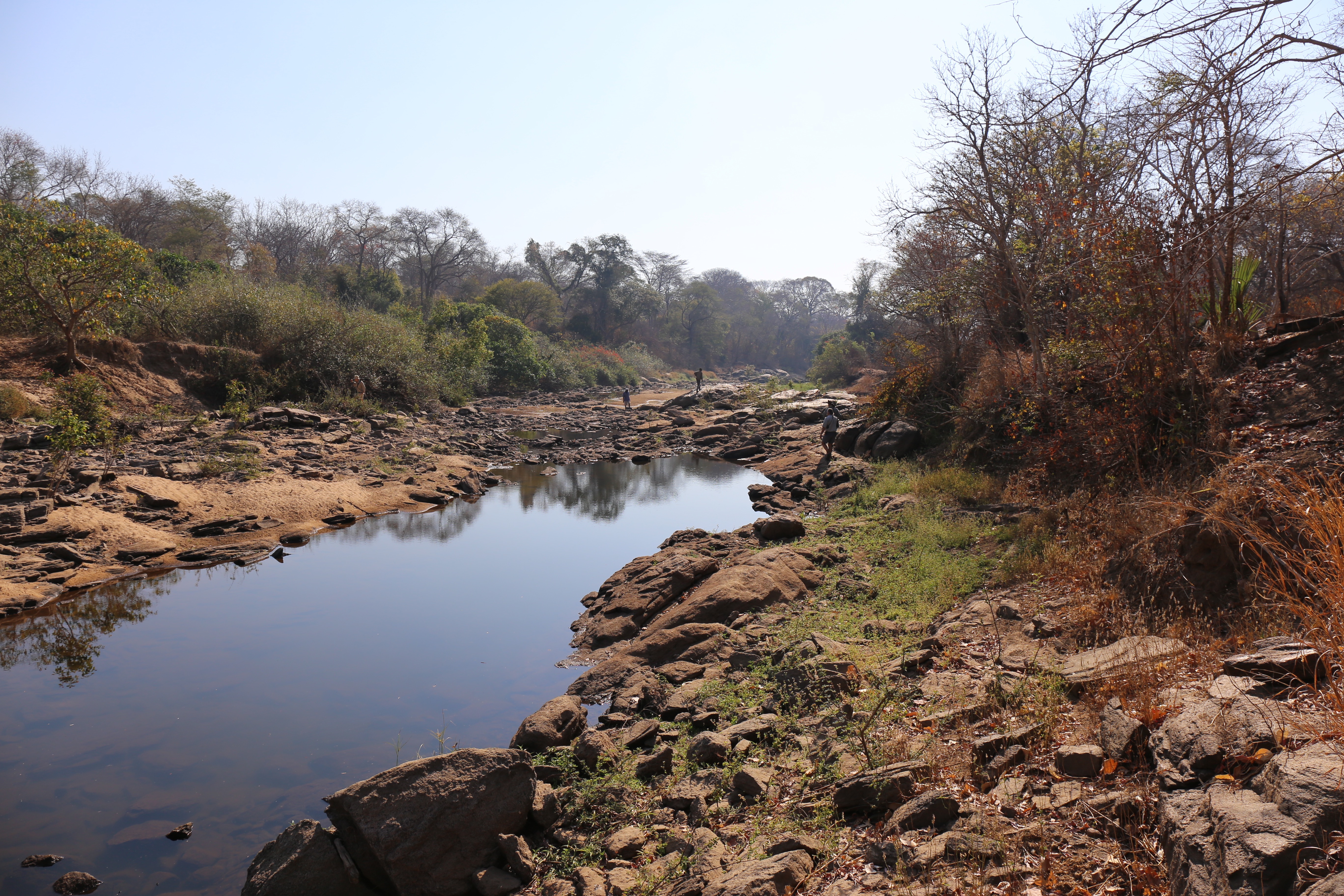 the river.jpeg