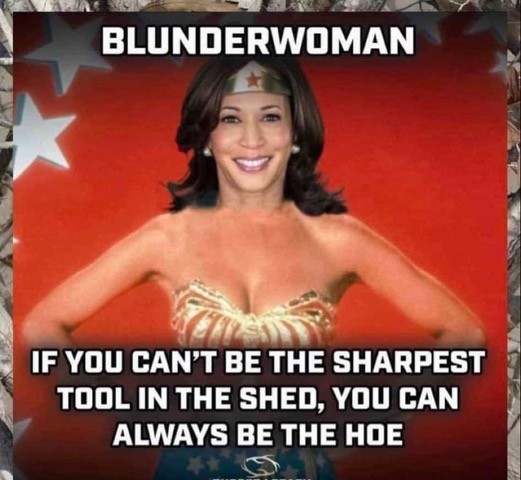 the_hoe.jpeg