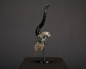 This exquisite carved Springbuck skull is finished with layers of bronze and copper metal powd...jpg