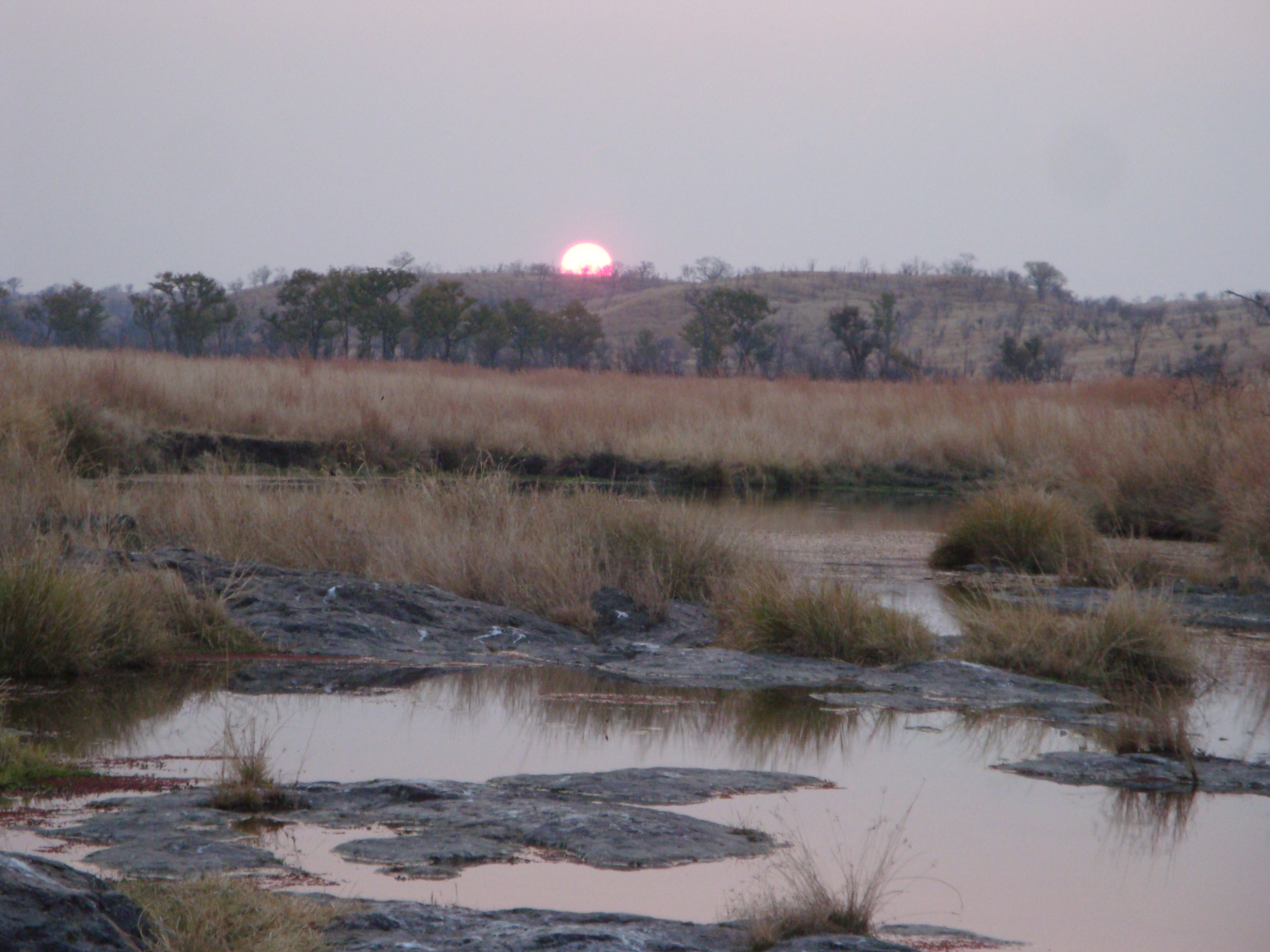 this spring is the provider of life in Matetsi.JPG