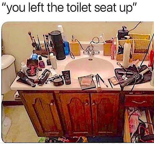 toilet_seat.jpg