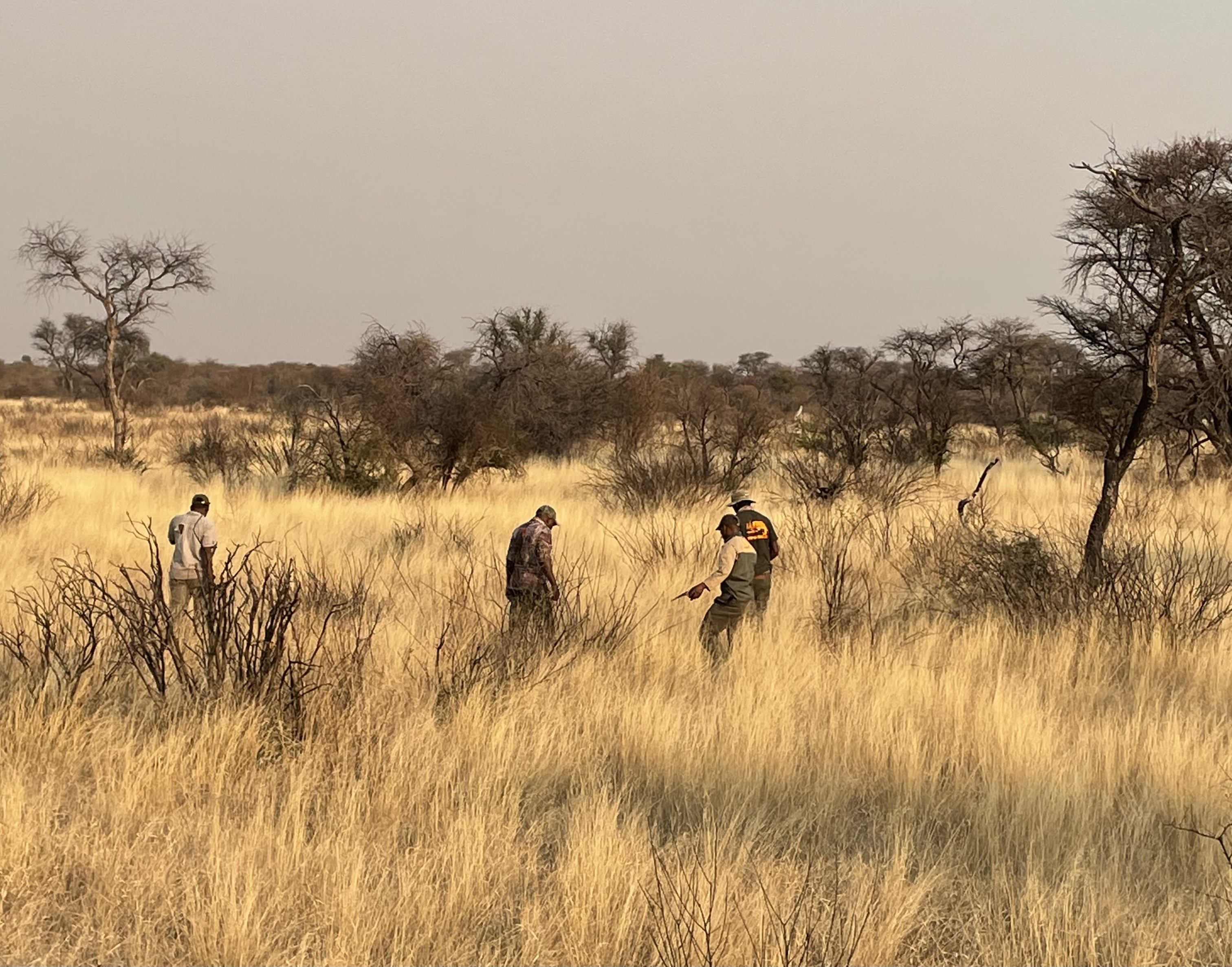 Trackers Botswana Leopard Hunt.jpg