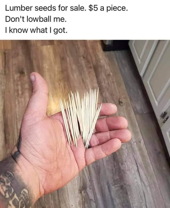 trees.jpg