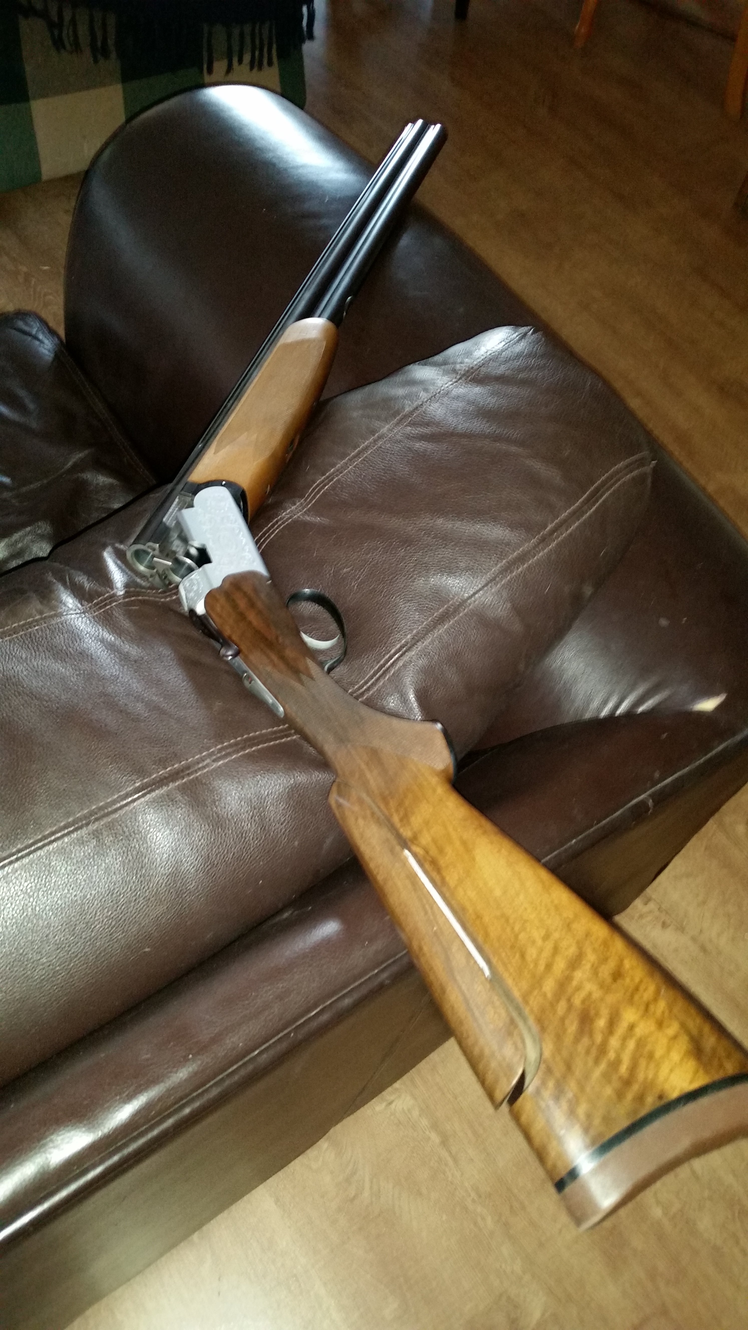 tristan1shotgun.jpg