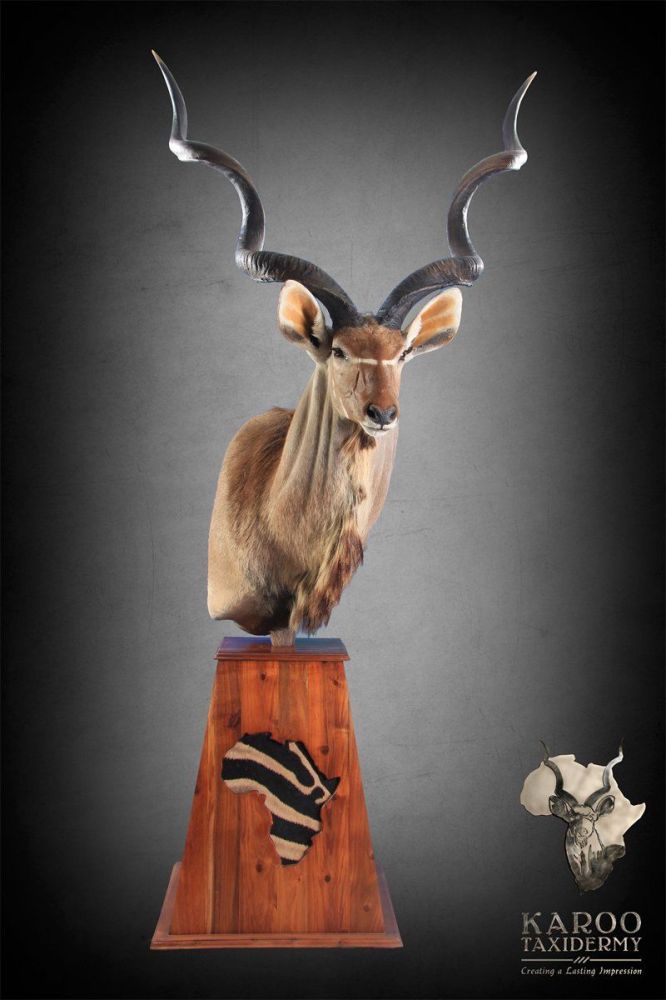 trophy_kudu_pedestal_mount.jpg