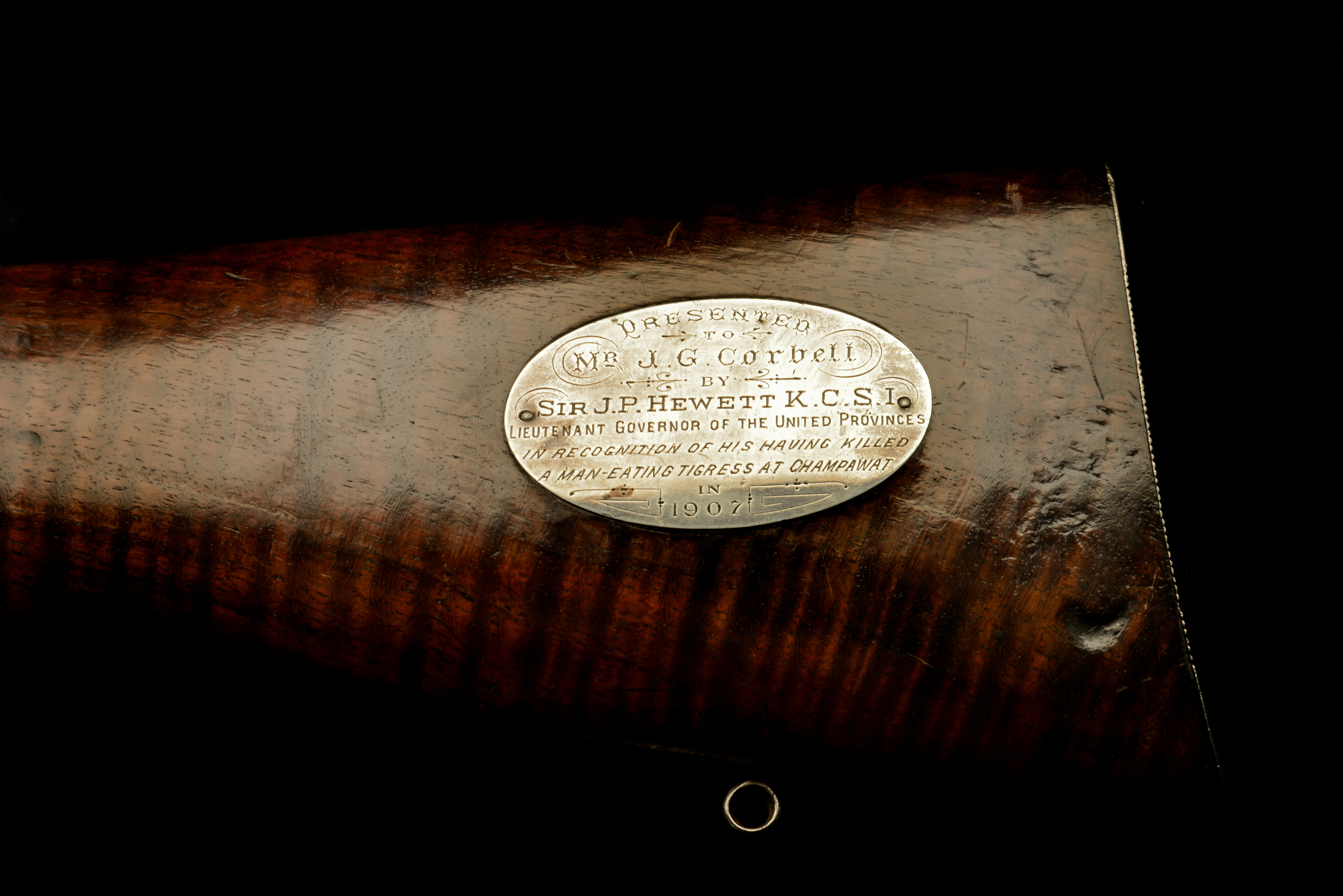 USE Copyright John Rigby and Co-5.jpg