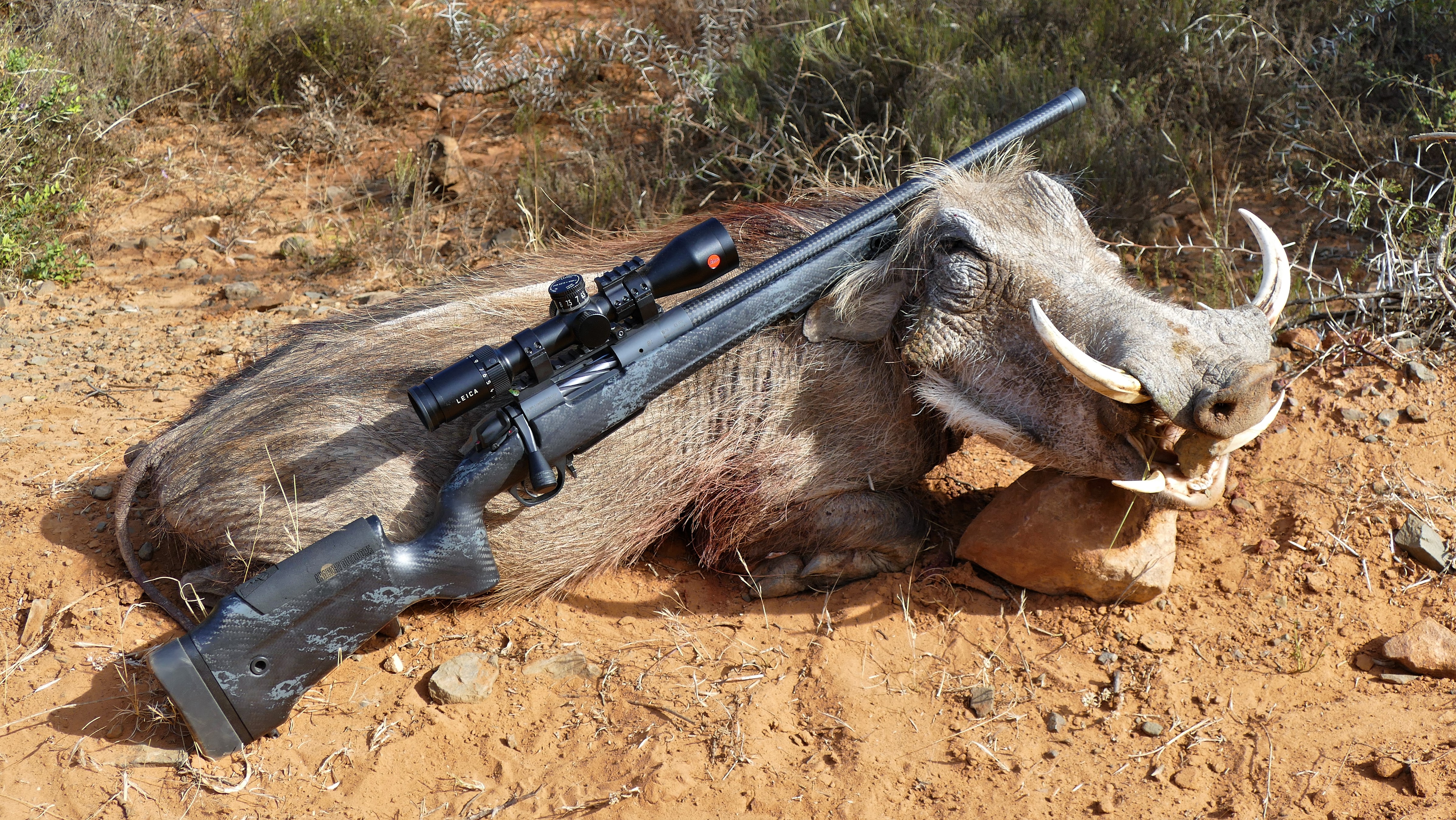 Warthog & CarbonCrest.JPG