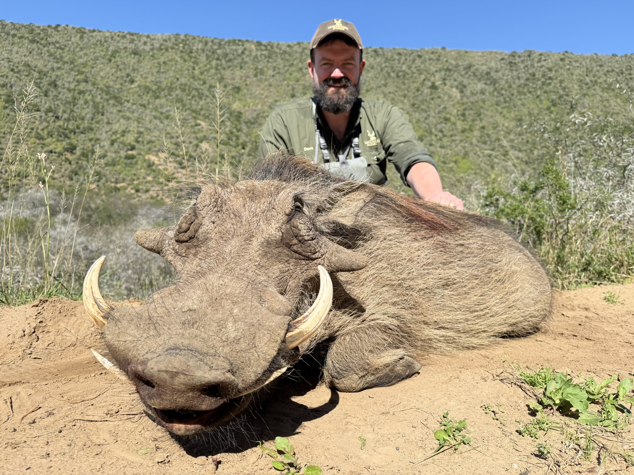 Warthog .JPEG