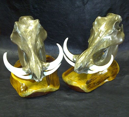 warthog skull bronze.jpg