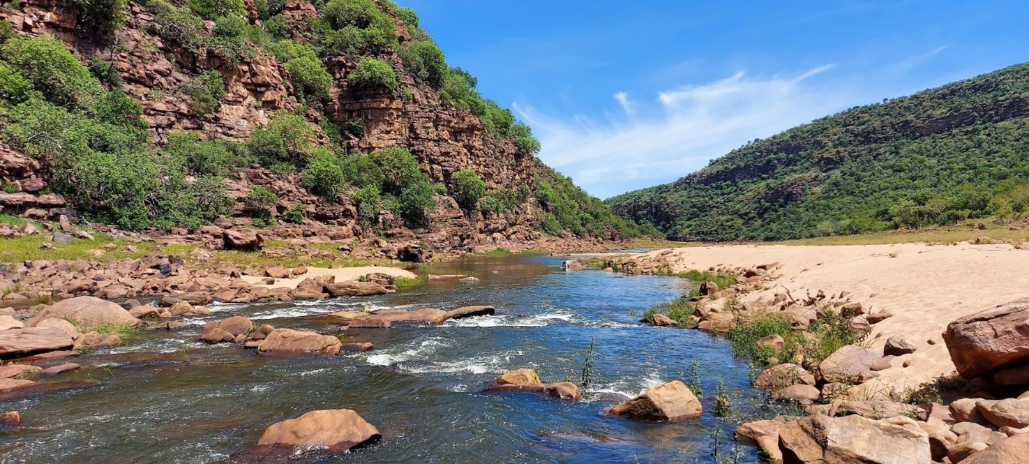 Waterberg rapid water.jpg