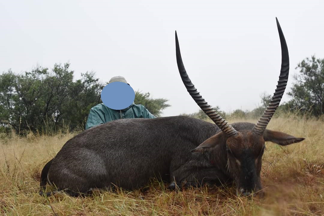 waterbuck-jpg.193555