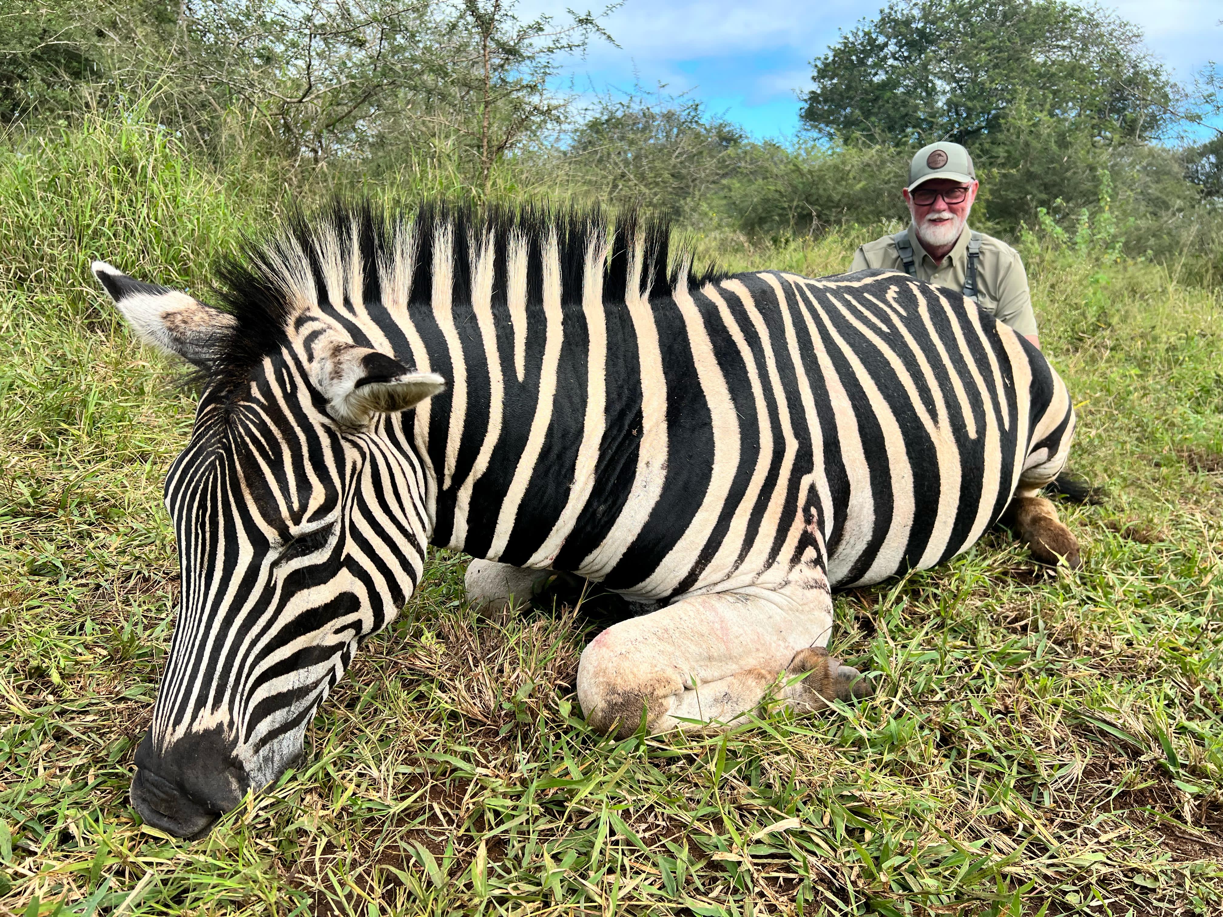 Wayne zebra.jpg