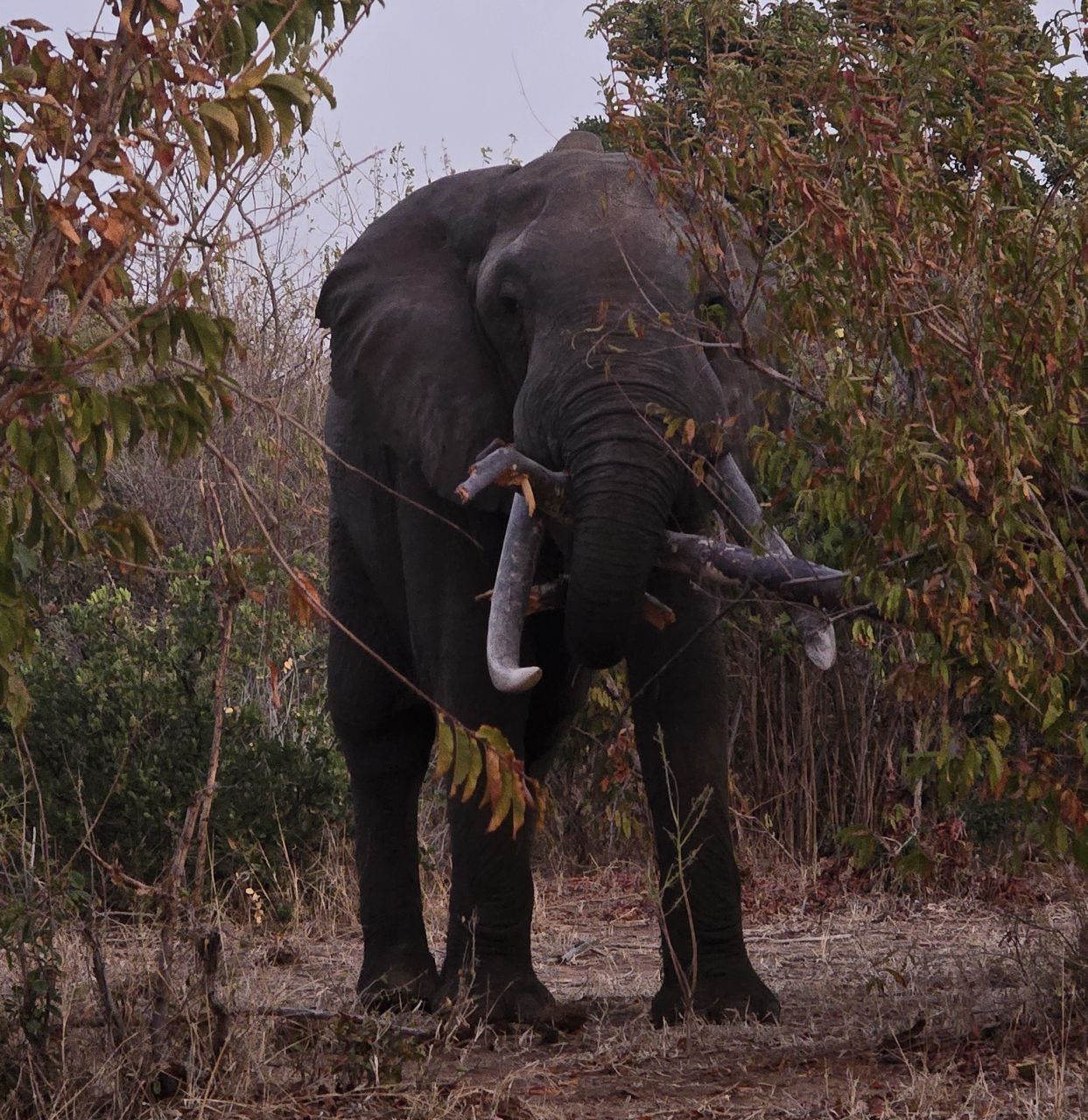 WhatsApp Image 2025-08-15 at 12.33.48 (1).jpeg