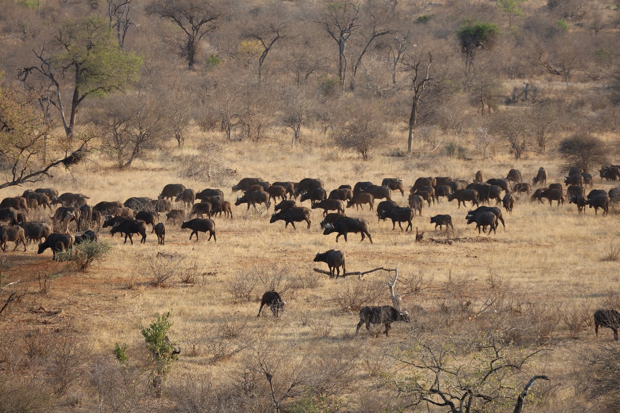 WhatsApp Image 2025-11-03 at 08.04.53_878b1cc4.jpg