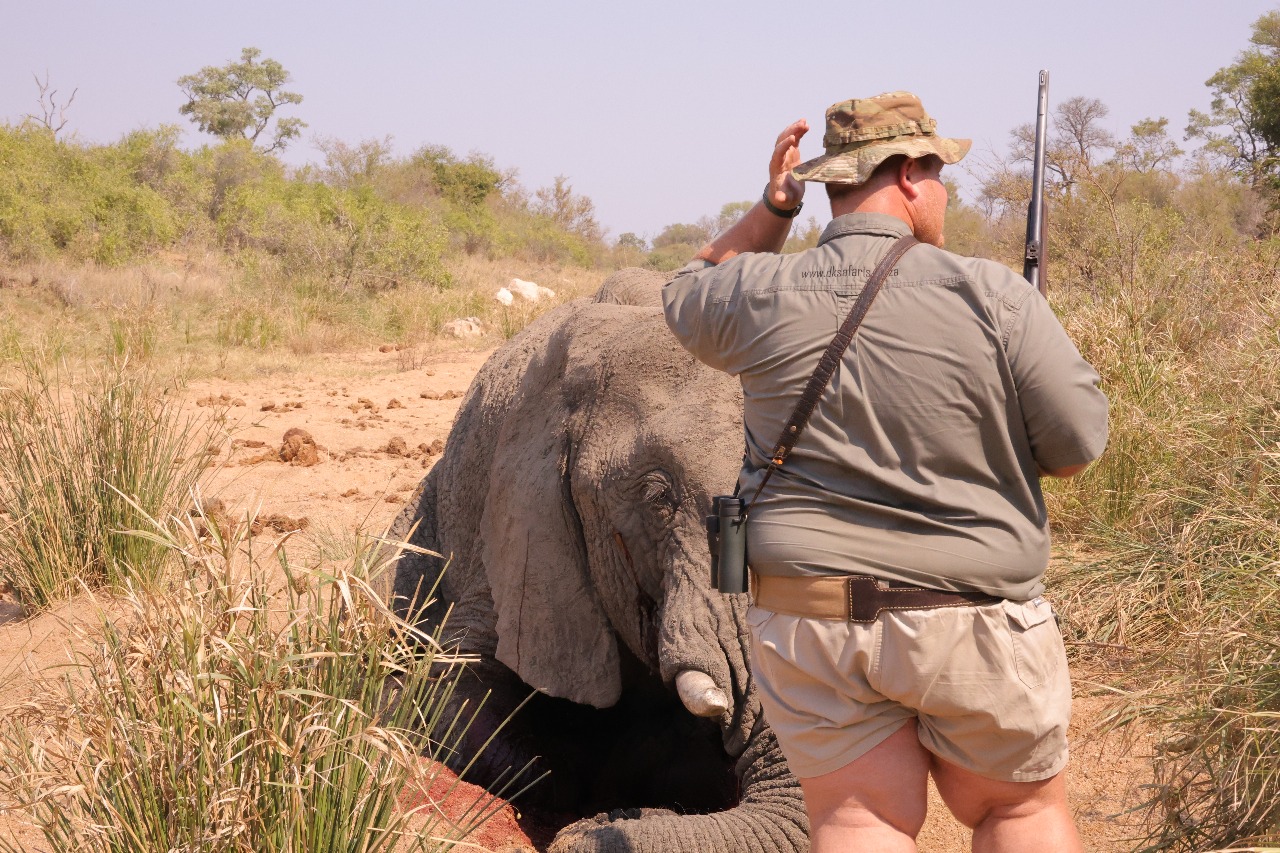 WhatsApp Image 2025-11-03 at 08.15.37_97a75f52.jpg