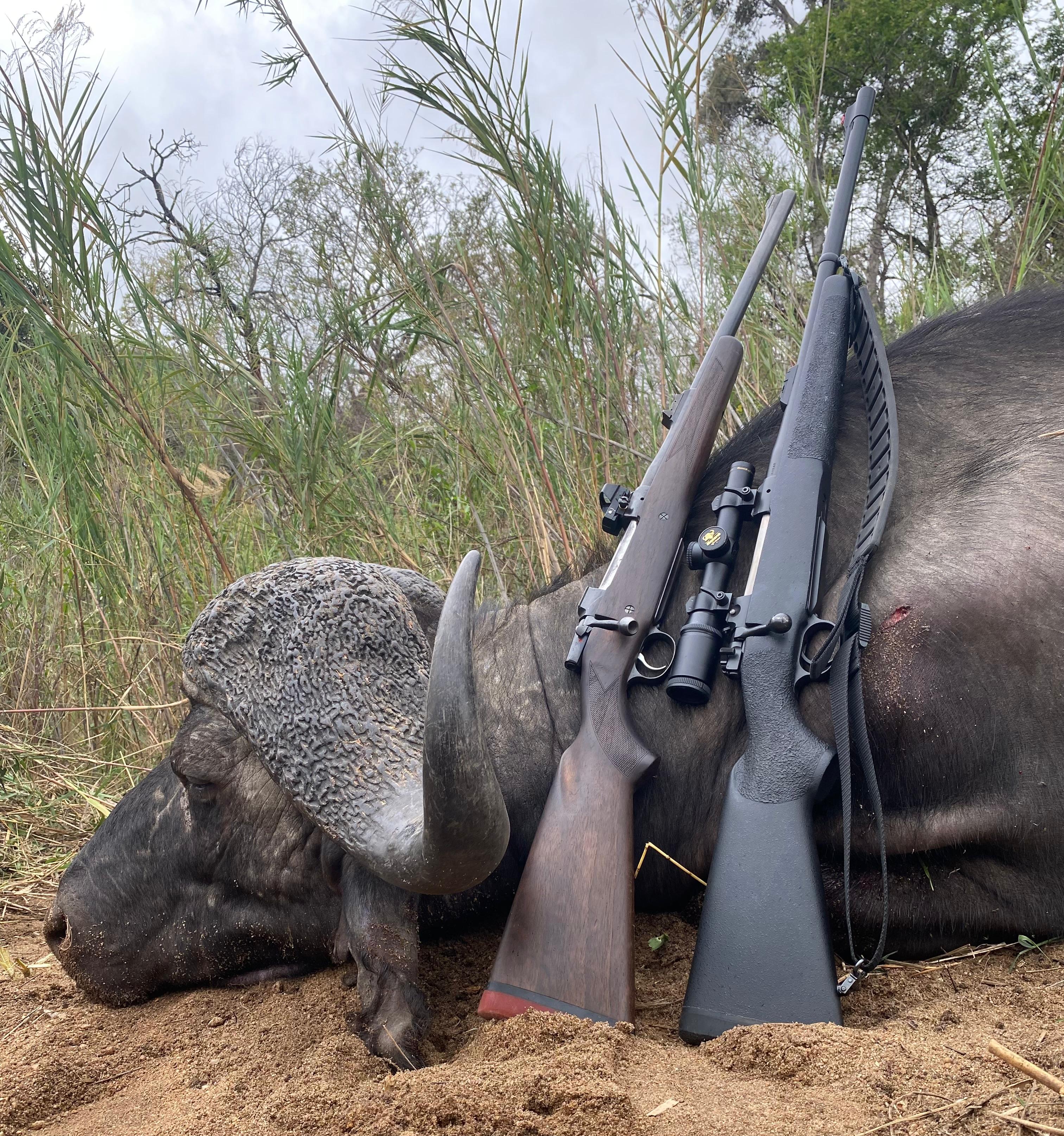 WhatsApp Image 2025-11-03 at 08.32.20_5d41a0c3.jpg