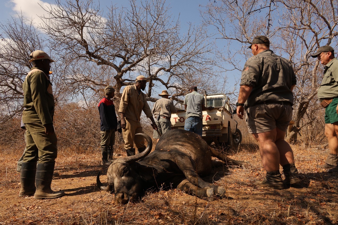 WhatsApp Image 2025-11-19 at 18.40.38_fd3fdb11.jpg