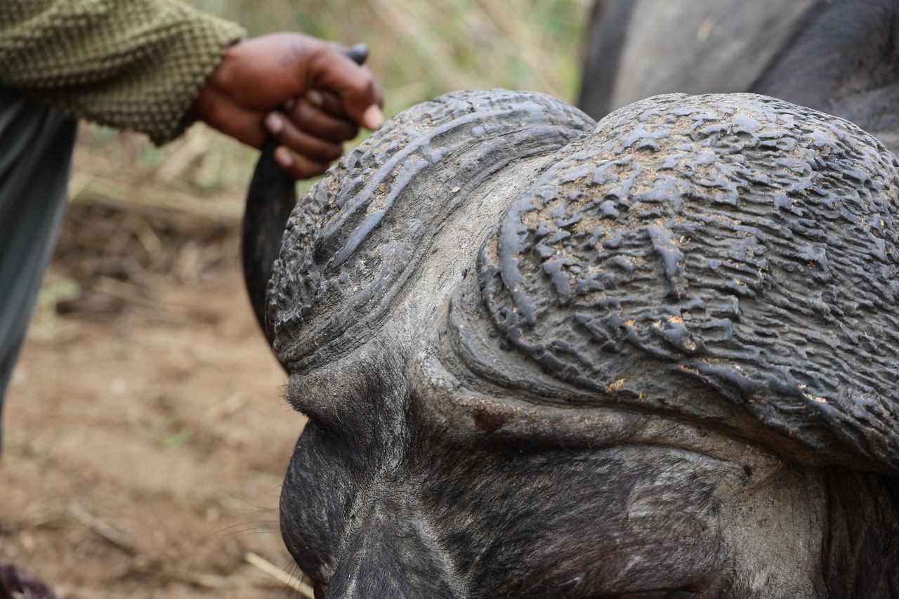 WhatsApp Image 2025-11-21 at 06.39.11_0a1e6bf0.jpg